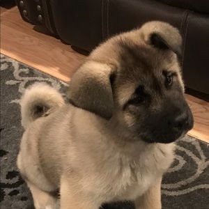 Meet your Posher, Seth